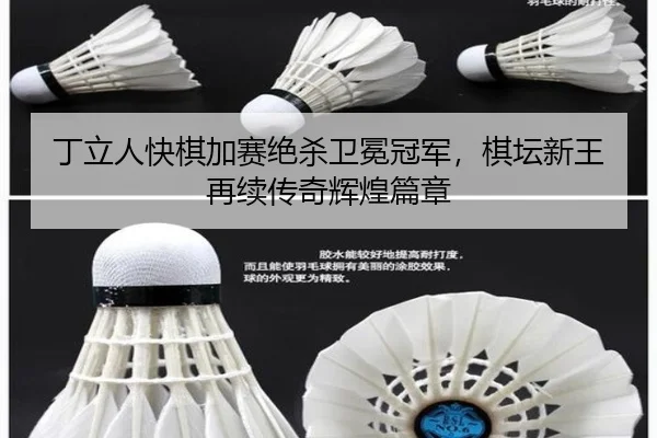 ding-li-ren-kuai-qi-jia-sai-jue-sha-wei-mian-guan-jun-qi-tan-xin-wang-zai-xu-chuan-qi-hui-huang-pian-zhang-2-912.jpg